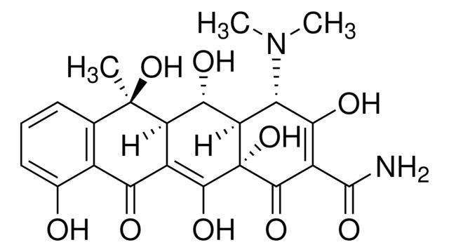 Y0002136