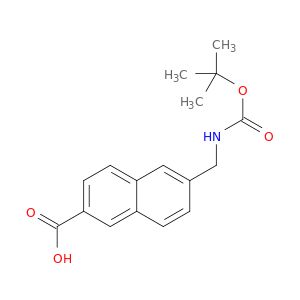 AY03629