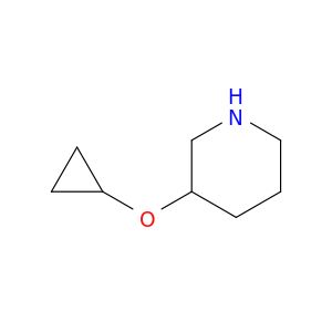 BL55537