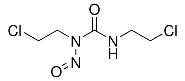 Y0002128