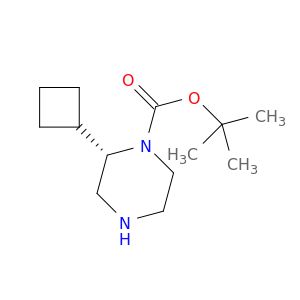 BA55664