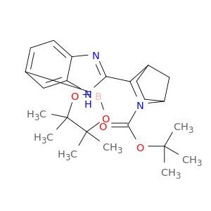 BM55253