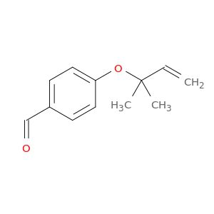 AY47846