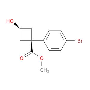 BO21740
