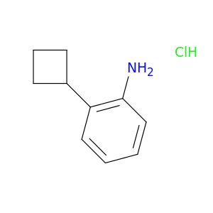 AY04299
