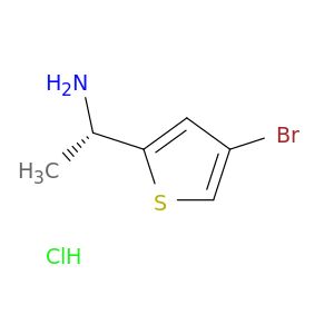 BG36204