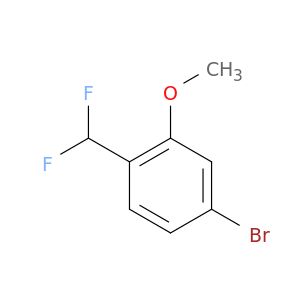 AI16538