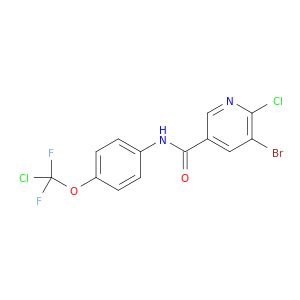 BJ81870