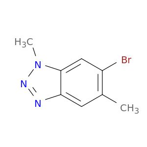 BG28447