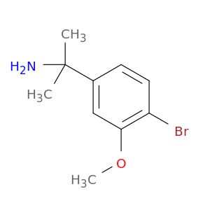 BL77446