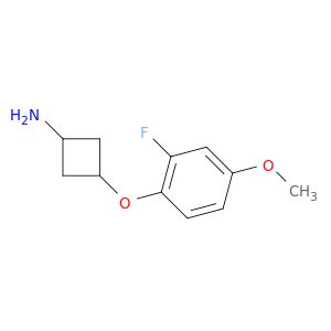 BO61556