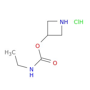 AY05664