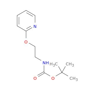 AE24331