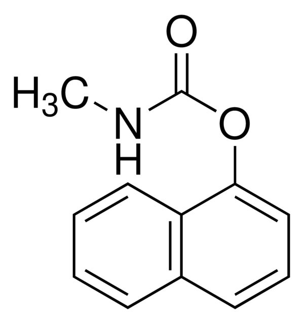 559814