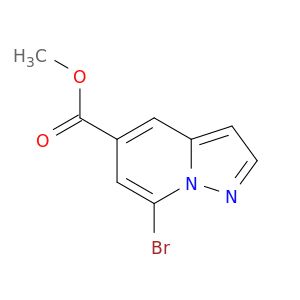 BO28919