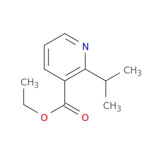AY91554