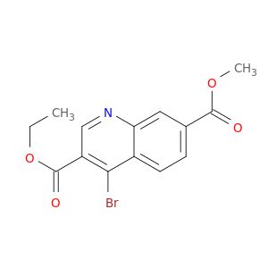 BM17561