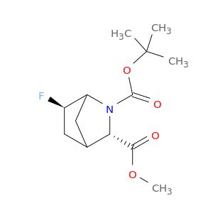 BO21262
