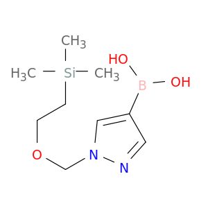 AY07052