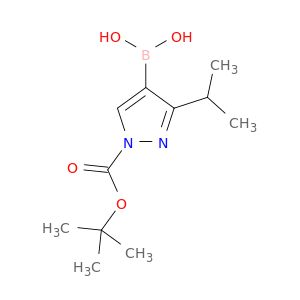 BA07974