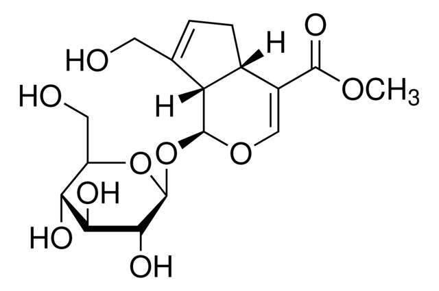 PHL89675