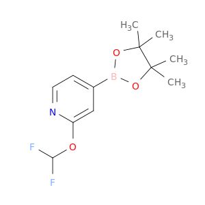 AY11571