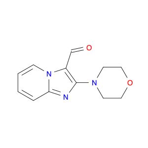 AR019SG7
