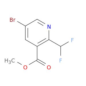BL32237