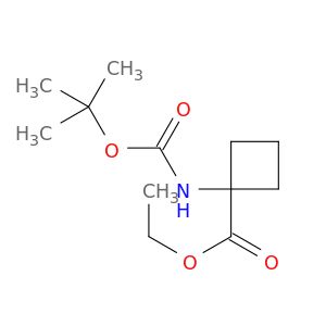 AE81323