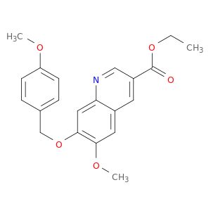 AR01UODQ