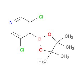 AR009E40