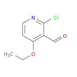 AR021V19