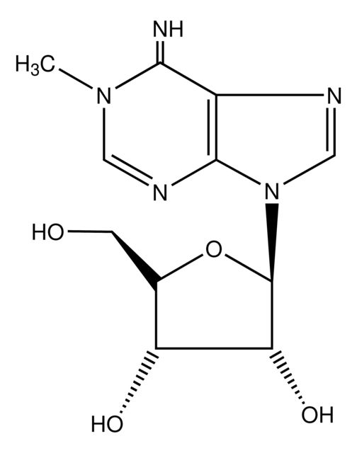 SMB00939