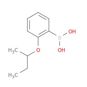AR019WU3