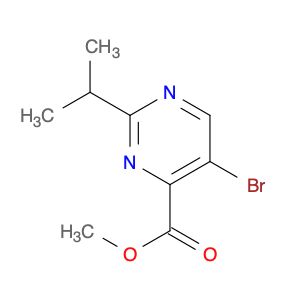 AR00106T