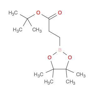 AR009E24