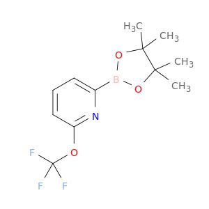 AR028FP9