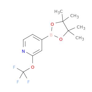 AR028EGK