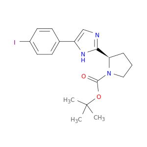 AR024VW1