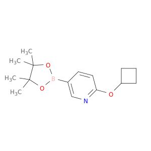 AR018QV3