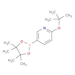 AR009YQD