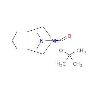 AY04571