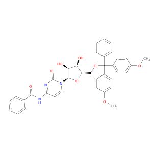 AE00013