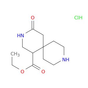 AY04543