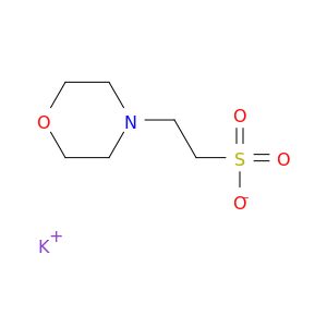 AF56557