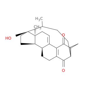 AR022KOE