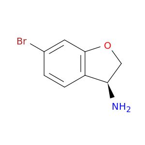 AE65598