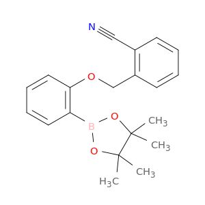 AY21173