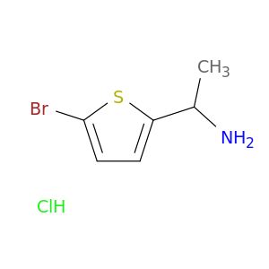 AY12913