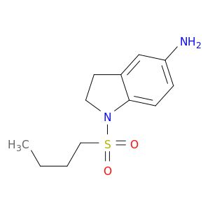 BC00555